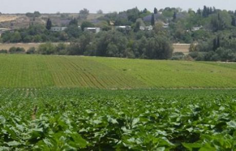 פרס השר להגנת הסביבה יוענק לאלון שוסטר, ראש המועצה האזורית שער הנגב