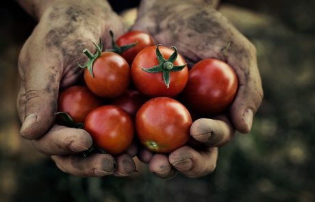 הכנס הראשון לאנרגיה מתחדשת בחקלאות יצא לדרך – אגרו וולטאי – AGV