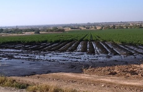 כ-3,000 מ"ק של בוצת שפכים זרמה לאזור נחל פטיש בדרום