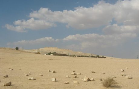 ח"כ ליצמן: אדרוש בדיקה של מבקר המדינה בנושא שדה בריר