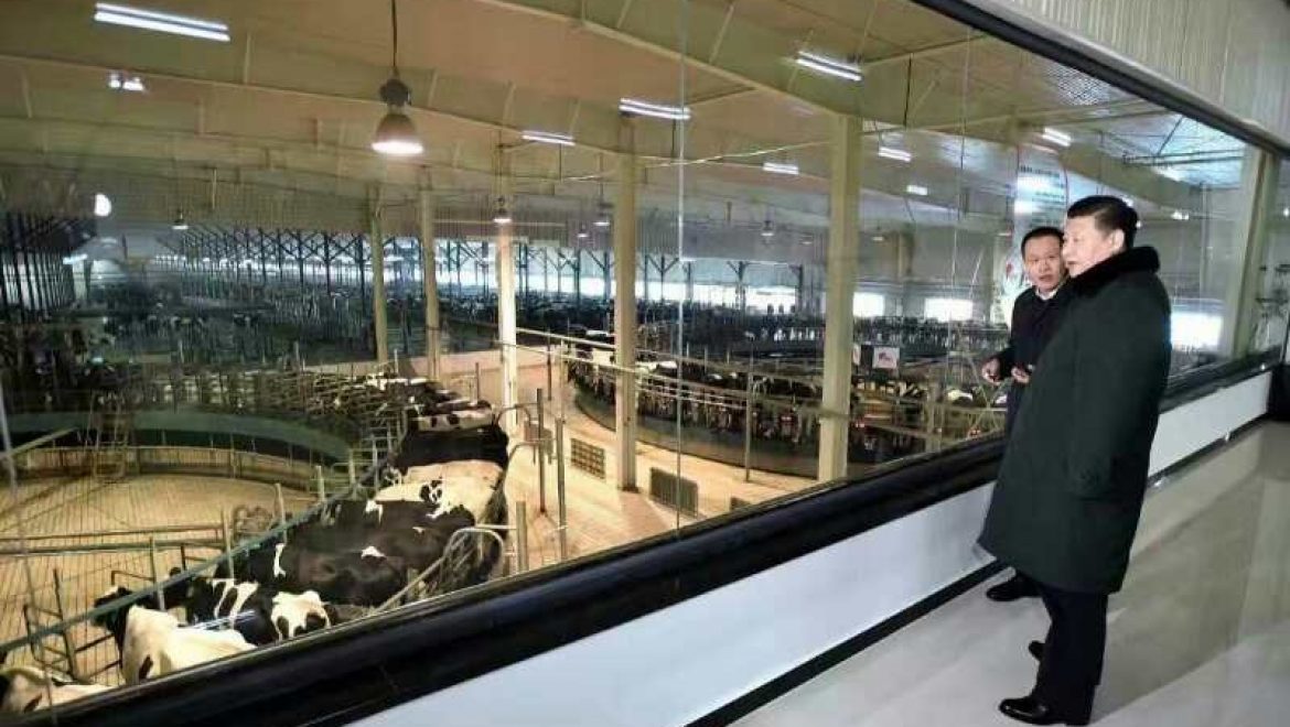 נשיא סין התרשם מטכנולוגיות החליבה והניהול של SCR הישראלית ברפת הגדולה בעולם